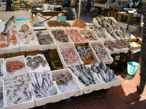 Puglia italy fresh fish and seafood