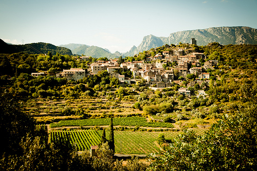 southern france wine region