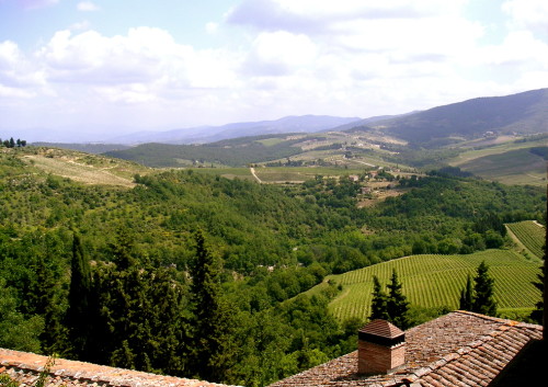 View from a Tuscan Winery