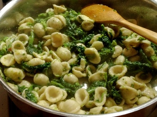 orecchiette pasta and broccoli rabe