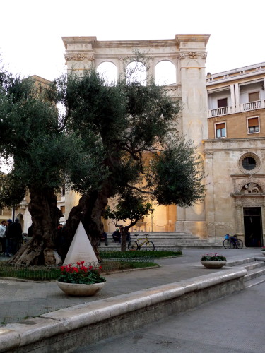 olive tree piazza sant'oronzo lecce